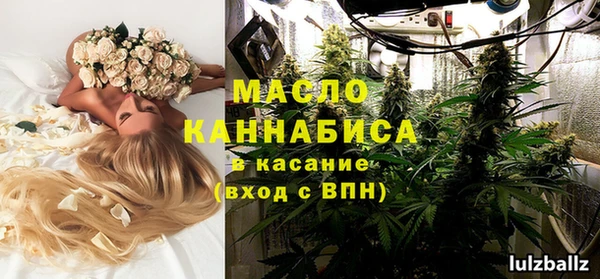 ECSTASY Богданович