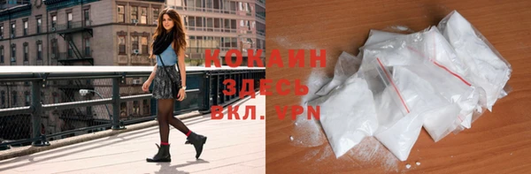 ECSTASY Богданович