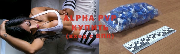 ECSTASY Богданович