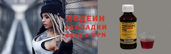 ECSTASY Богданович