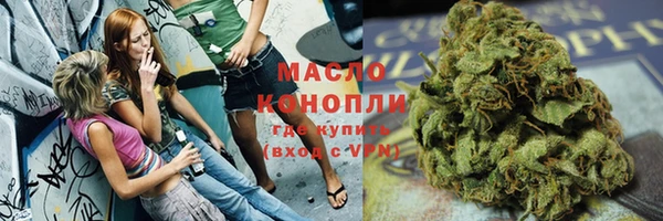 ECSTASY Богданович