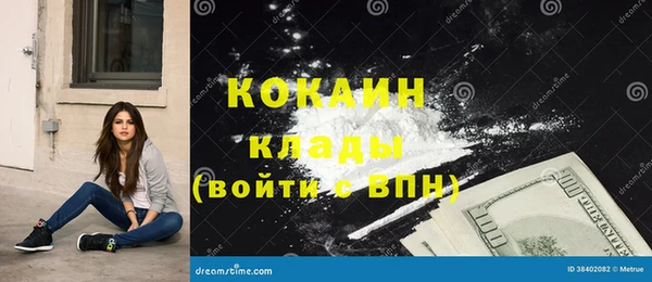 ECSTASY Богданович