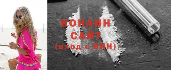 ECSTASY Богданович
