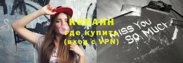 ECSTASY Богданович
